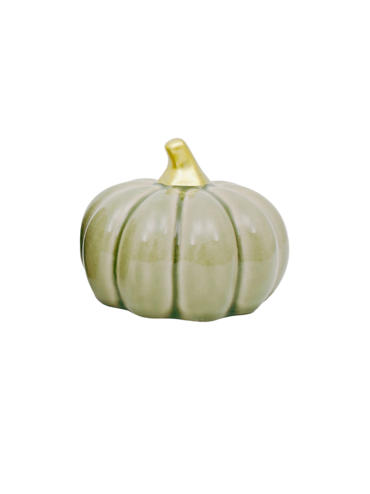 FENJA PUMPA SAGE MIX L